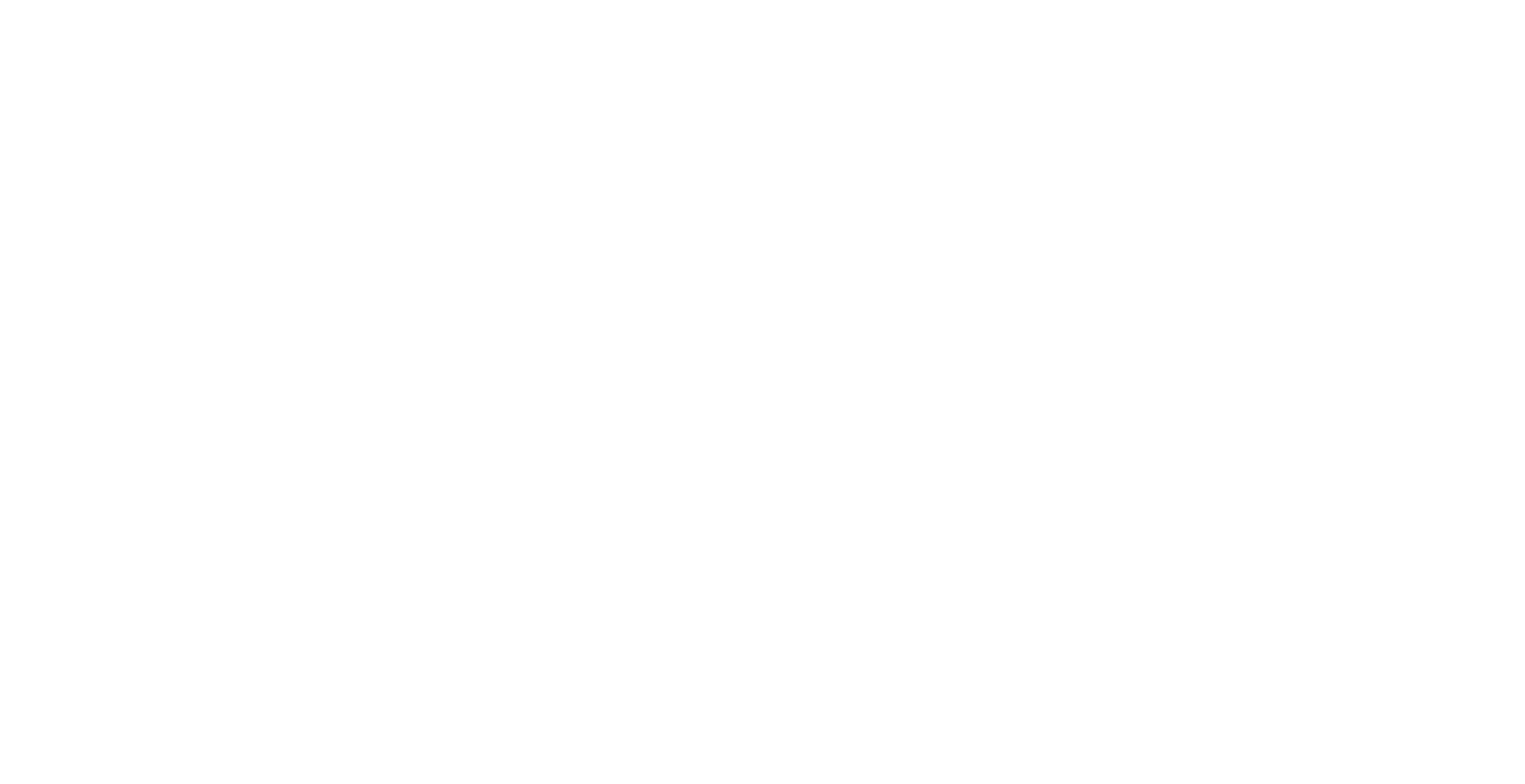 AUX White Logo